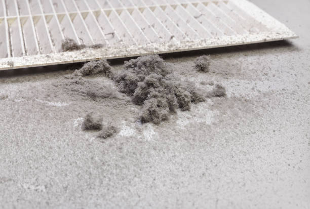 Best Air Duct Cleaning Near Me in MN