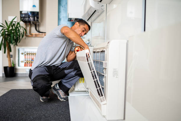 Best Air Duct Mold Removal  in Eagan, MN