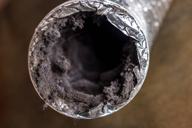 Best Best Air Duct Cleaning Company  in Eagan, MN