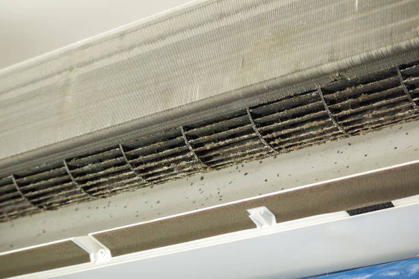 Best Ductwork Cleaning Services  in Eagan, MN