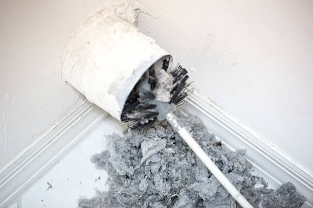 Best Professional Duct Cleaning Services  in Eagan, MN